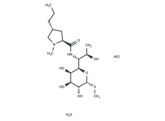 Lincomycin hydrochloride monohydrate