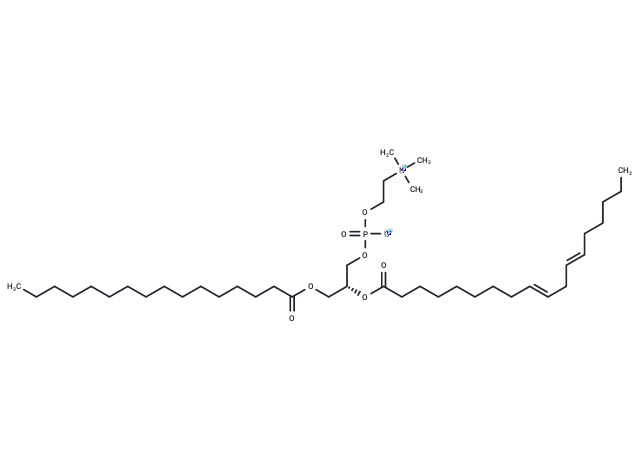 Lecithin