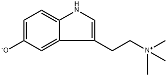 Bufotenidine