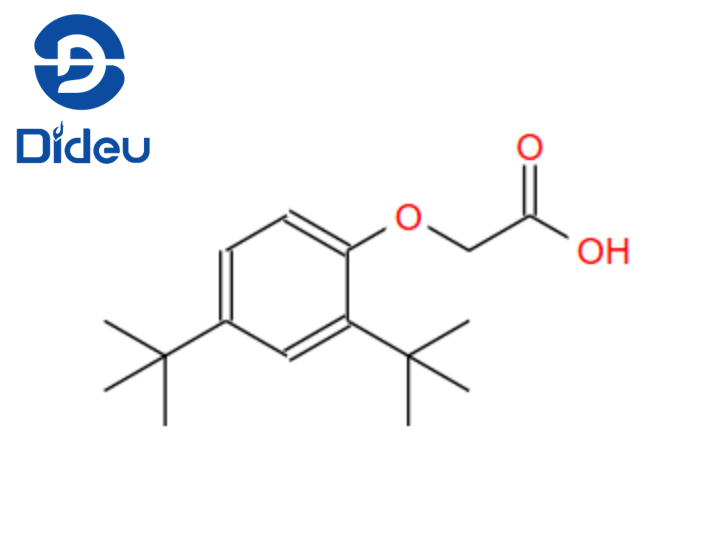 2-[2,4-Di(tert-butyl)phenoxy]acetic acid