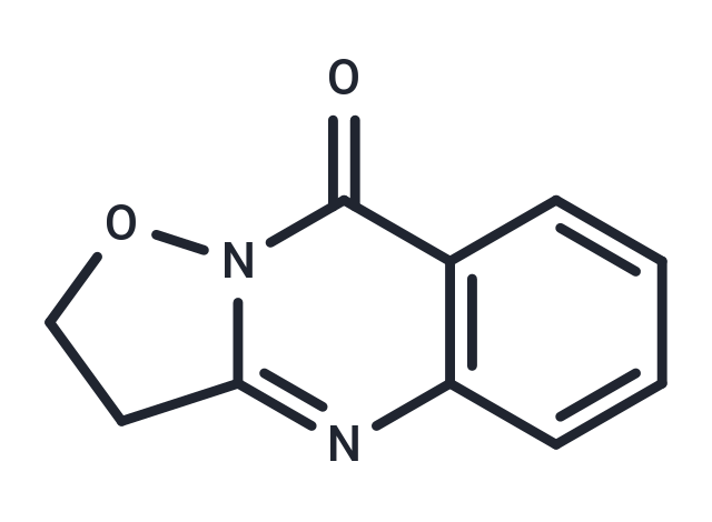 W-2429