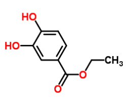 Ethyl 3,4-dihydroxybenzoate