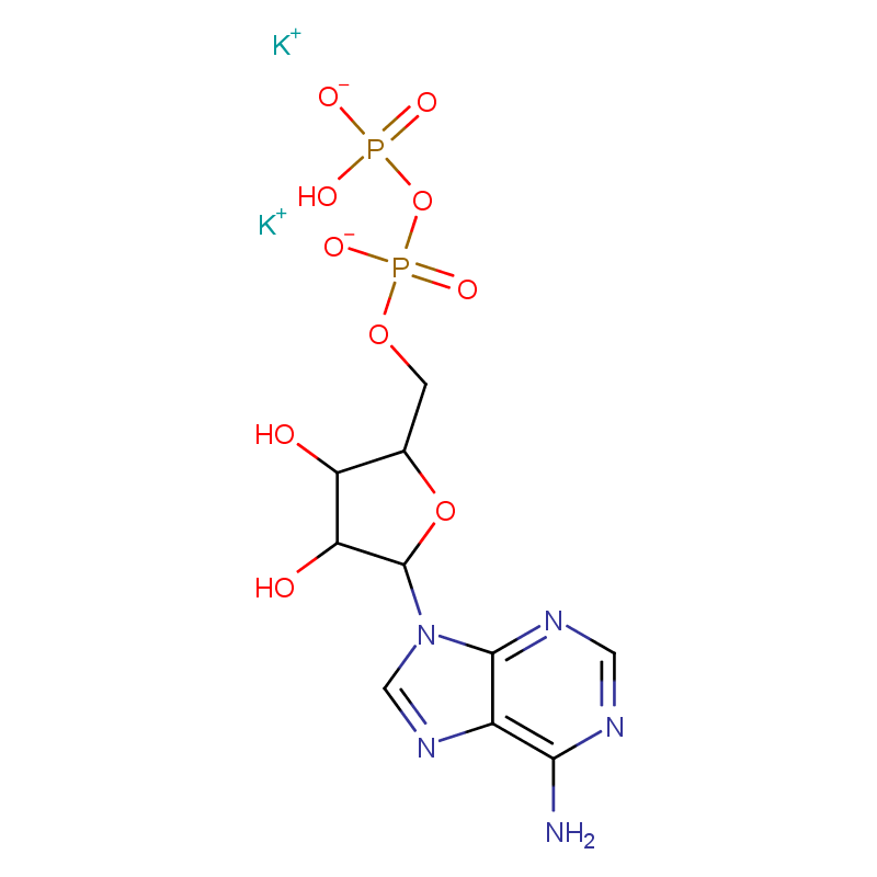 Adenosine 5’-diphosphate dipotassium salt; ADP-K2; 5'-ADP-K2