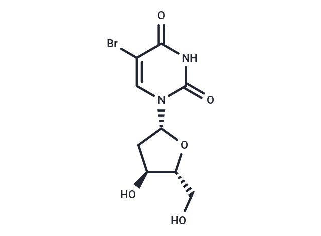 5-BrdU