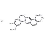 Jatrorrhizine chloride