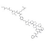 Gly3-VC-PAB-MMAE