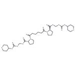 amyloid P-IN-1