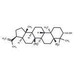 3β-Hydroxy-hop-22(29)-ene