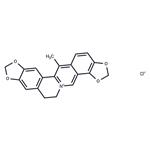 Corysamine chloride