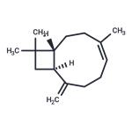 β-Caryophyllene