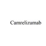 Camrelizumab