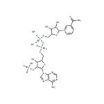 NADP disodium salt