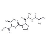 Ala-Ala-Pro-Val-chloromethylketone