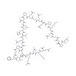 Synstatin (92-119)