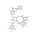 Pinocembrin 7-O-[3''-O-galloyl-4'',6''-hexahydroxydiphenoyl]-β-D-glucoside