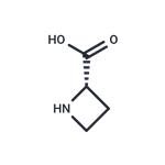 L-Azetidine-2-carboxylic acid