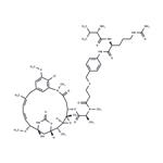 vc-PABC-DM1