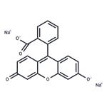 Fluorescein Sodium