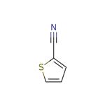 2-Thiophenecarbonitrile