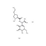 Lincomycin hydrochloride monohydrate