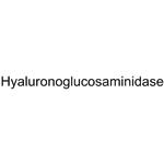 Hyaluronidase