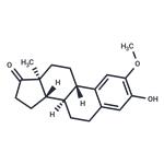 2-Methoxyestrone