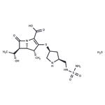 Doripenem monohydrate