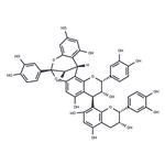 Cinnamtannin B-1