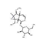 6-O-Methylcatalpol