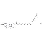 Gemcitabine elaidate hydrochloride