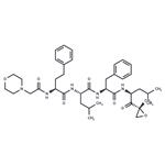 Carfilzomib