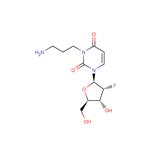 2’-Deoxy-2’-fluoro-N3-(3-aminopropyl)uridine