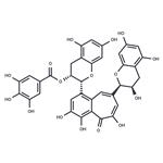 Theaflavin-3'-Gallate