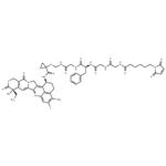 MC-Gly-Gly-Phe-Gly-amide-cyclopropanol-amide-Exatecan