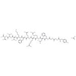 Dynorphin B (1-13) acetate(83335-41-5 free base)