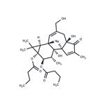 Phorbol 12,13-dibutyrate