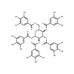 Pentagalloylglucose