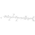 PKA inhibitor fragment (6-22) amide Acetate