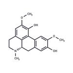 Isoboldine