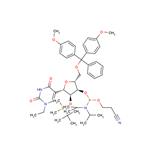 N1-Ethyl-2’-O-TBDMS-5’-O-DMTr-3’-phosphoramidite