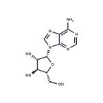 5536-17-4 Vidarabine