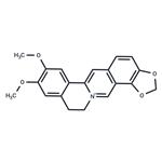 Epiberberine