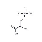 DL-O-Phosphoserine