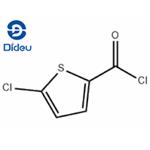 5-Chlorothiophene-2-carbonyl chloride