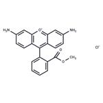 Rhodamine 123