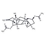 Guanfu base A