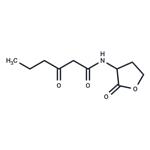 N-(Ketocaproyl)-DL-homoserine lactone