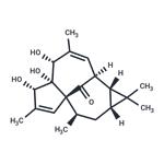 20-DEOXYINGENOL