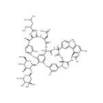 Vancomycin pictures