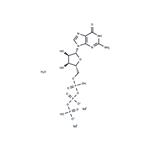 Guanosine-5'-triphosphate disodium salt